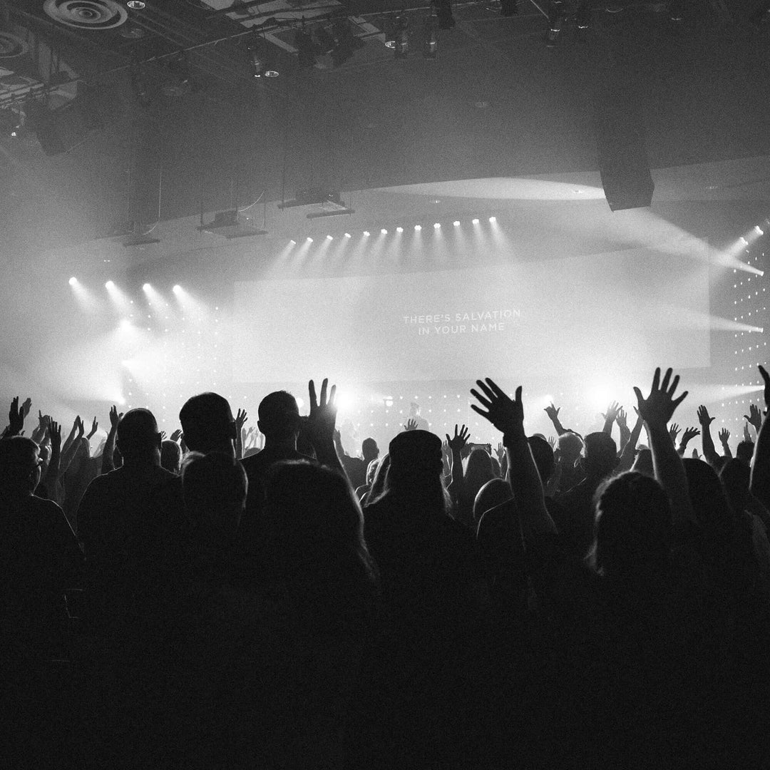 Earfab E-Concert Formstøbte Ørepropper Earfab